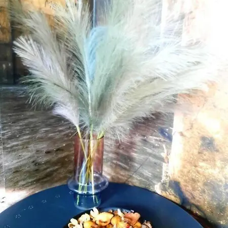 One Bedroom By The Park Old Town Belle Vue