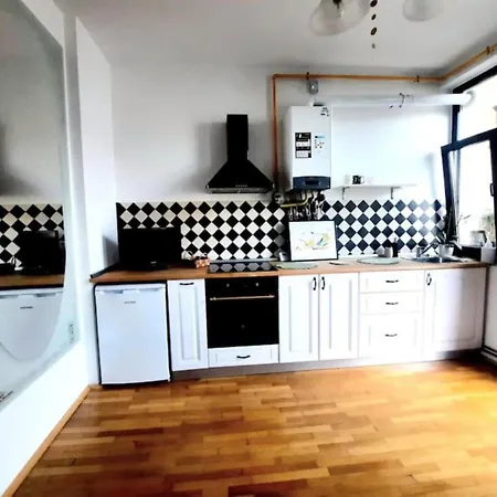 One Bedroom By The Park Old Town Belle Vue Apartament Timişoara