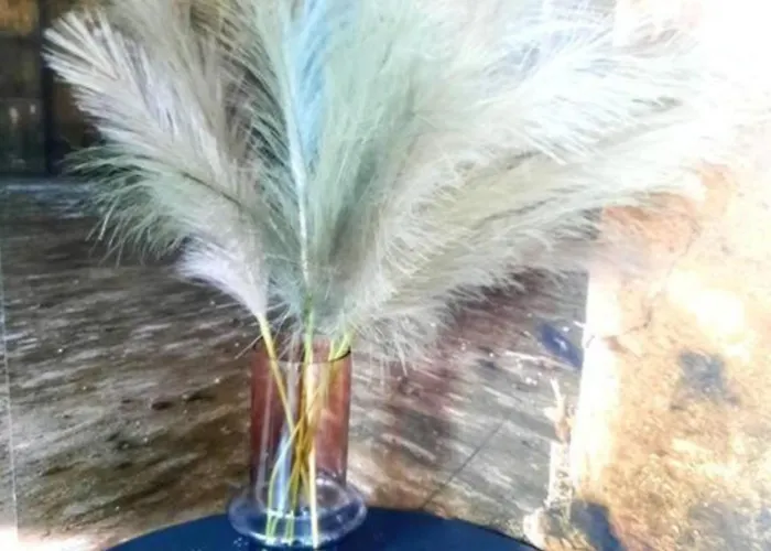 One Bedroom By The Park Old Town Belle Vue