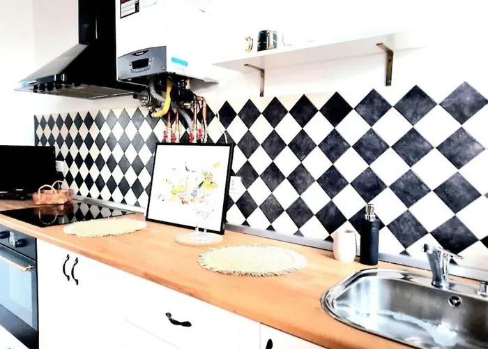 One Bedroom By The Park Old Town Belle Vue Apartment Timisoara