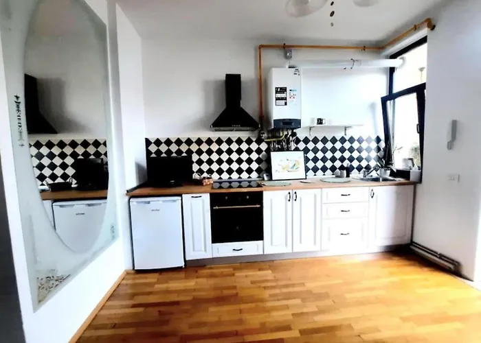 One Bedroom By The Park Old Town Belle Vue Apartment Timisoara