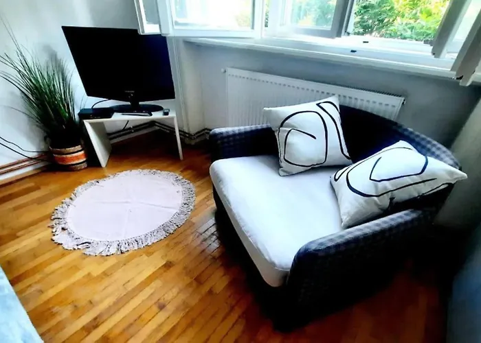 One Bedroom By The Park Old Town Belle Vue Lägenhet Timişoara