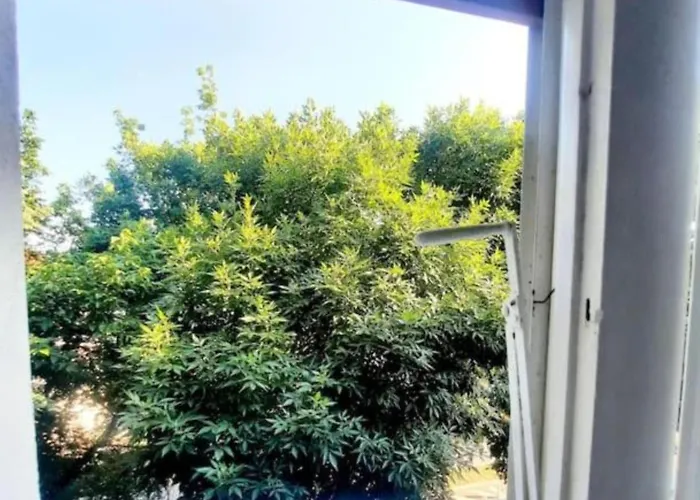 One Bedroom By The Park Old Town Belle Vue * Timisoara