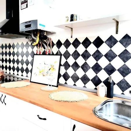 One Bedroom By The Park Old Town Belle Vue Apartment Timişoara