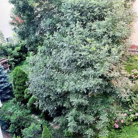 Apartment One Bedroom By The Park Old Town Belle Vue *