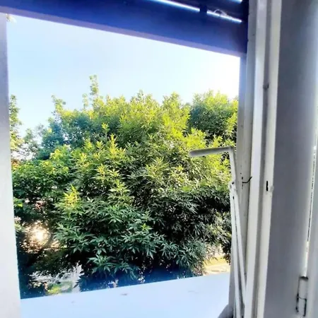 One Bedroom By The Park Old Town Belle Vue * 蒂米什瓦拉